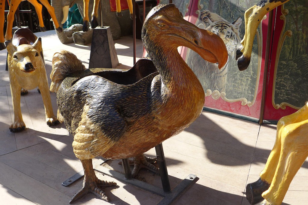 The Dodo at the Dodo manège-Jardin des plantes