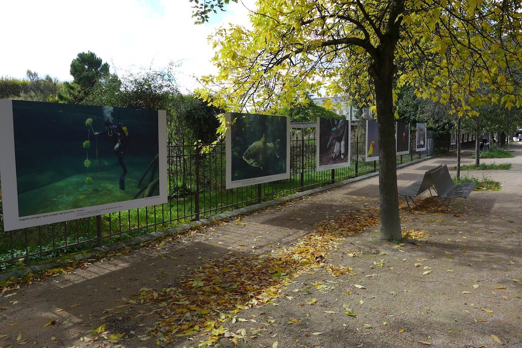 Jardin des Plantes-Paris-Expo photos