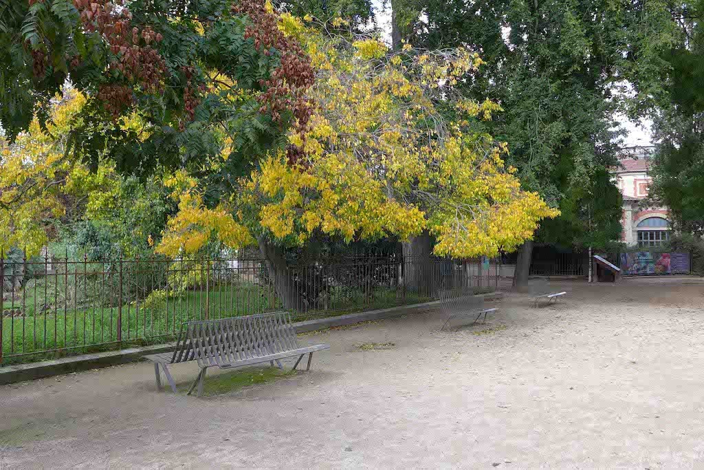 Jardin des Plantes-Paris-Trees