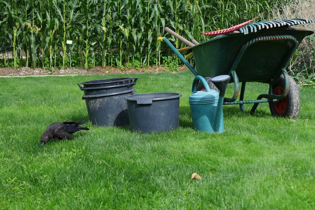 Jardin des Plantes-Paris-garden tools