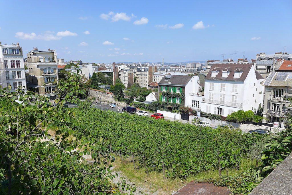 Musee de Montmartre - The vineyard, the Lapin agile and Northern Paris