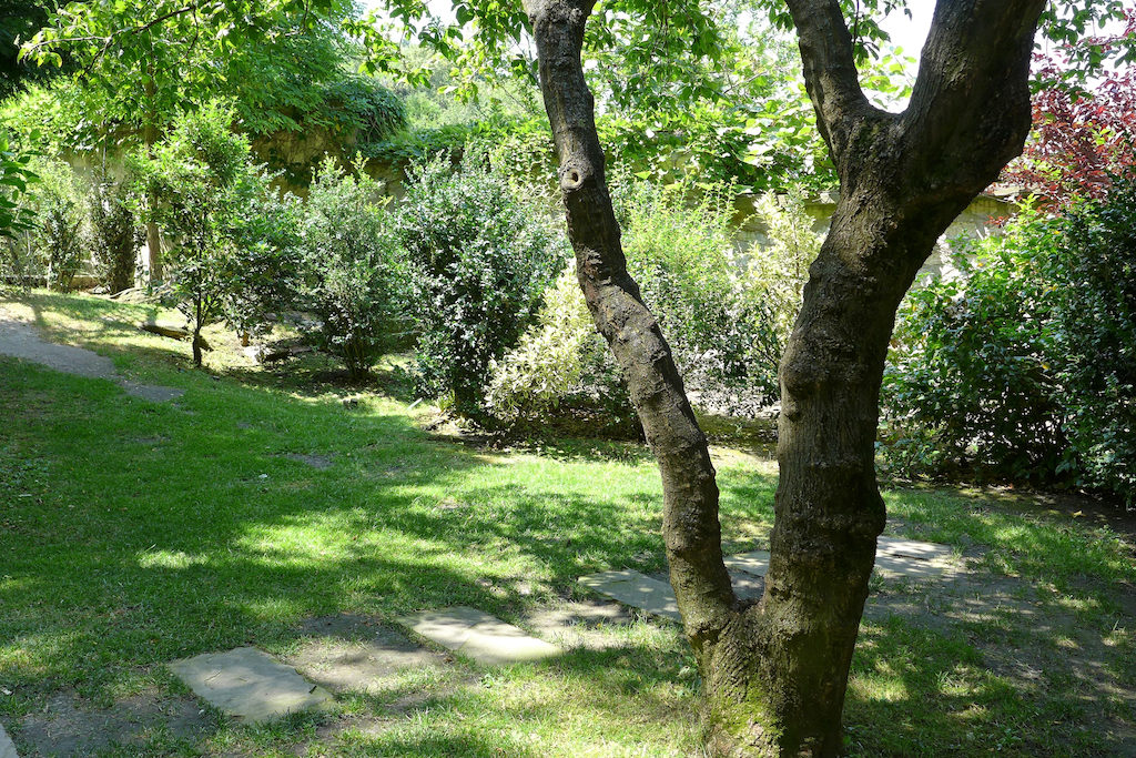 Musee de Montmartre - Path leading to the wild part of the gardens