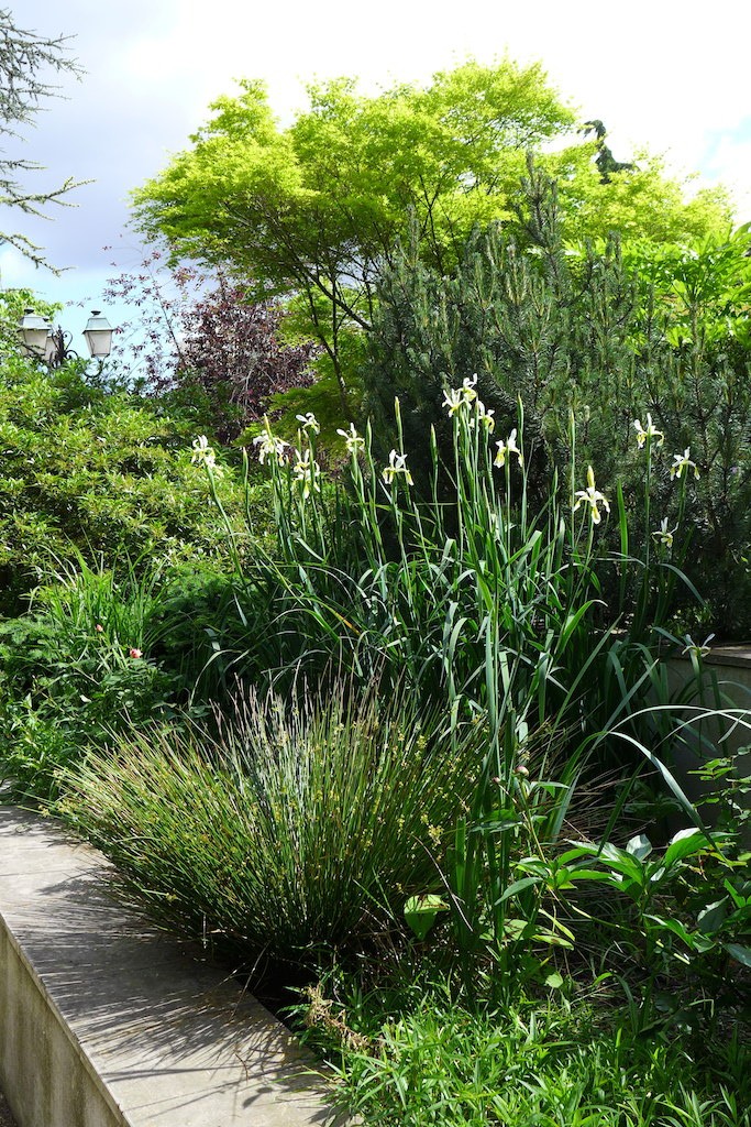 Trees and flowers in the Jardin Charles Peguy - Paris