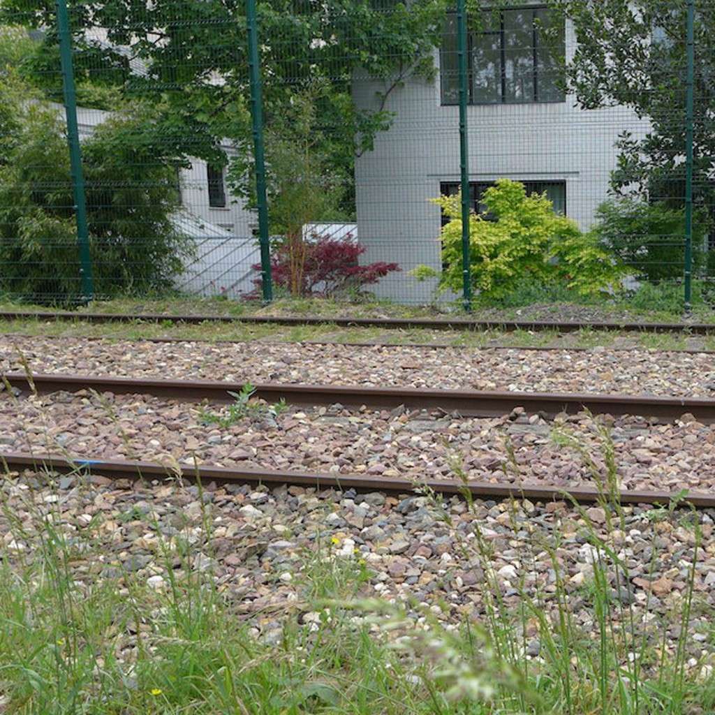 La Petite Ceinture Paris - The unused railway