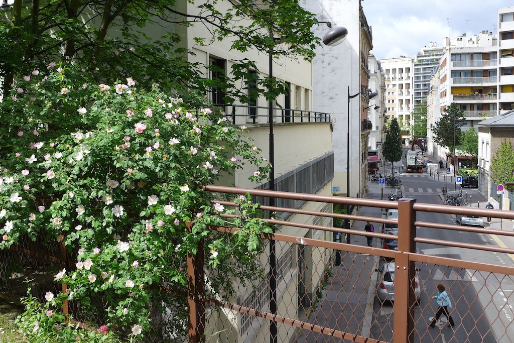 View from the Petite Ceinture - Paris