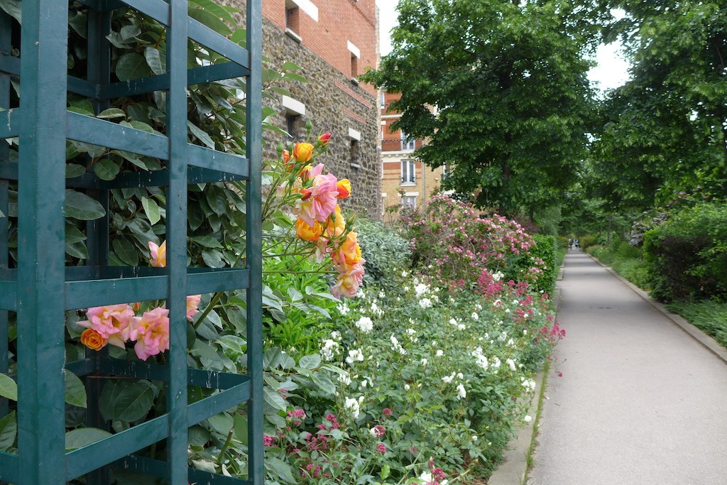 Rosebushes on the Viaduc des Arts