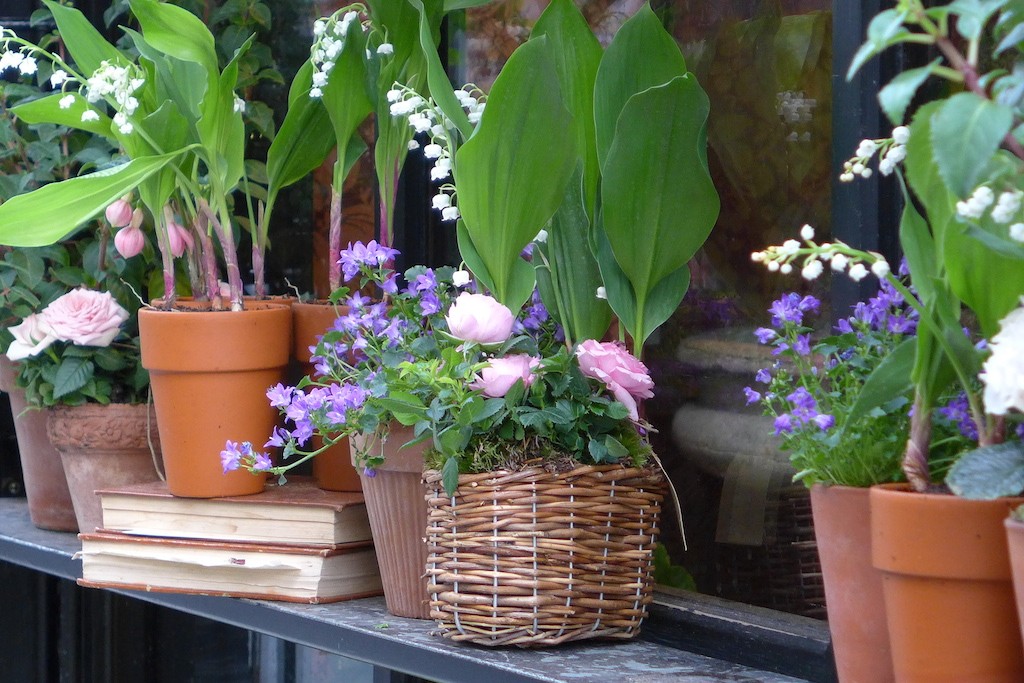 Flowers Paris - Lily of the valley rue des Saints Peres