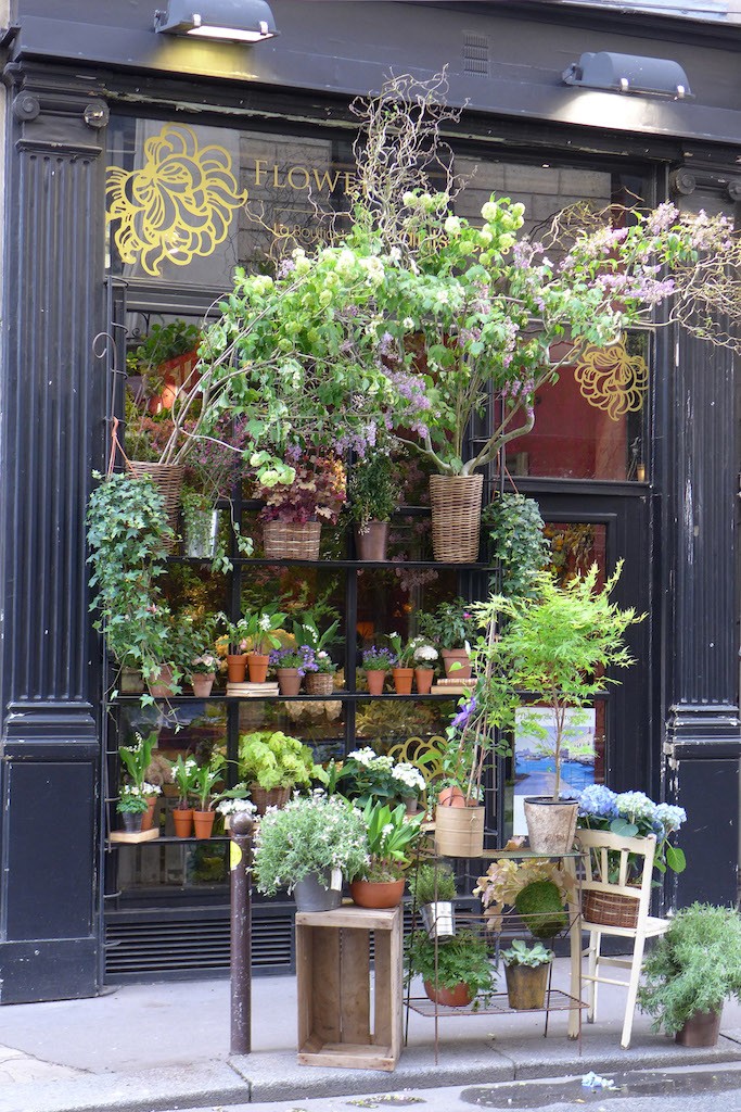 Flowers Paris Rue des Saints Peres