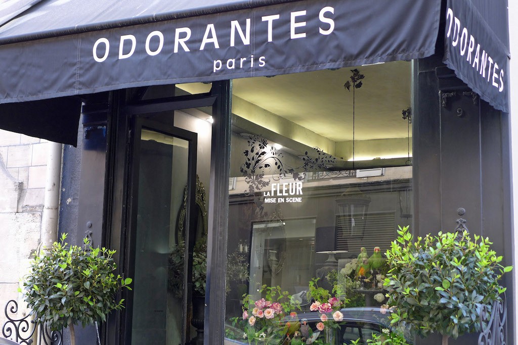 Odorantes Paris - flowers and parrots