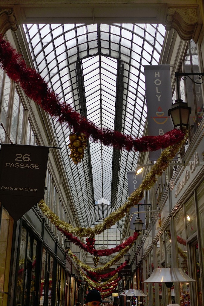 Passage Verdeau-Paris-Glass roof as fish bones