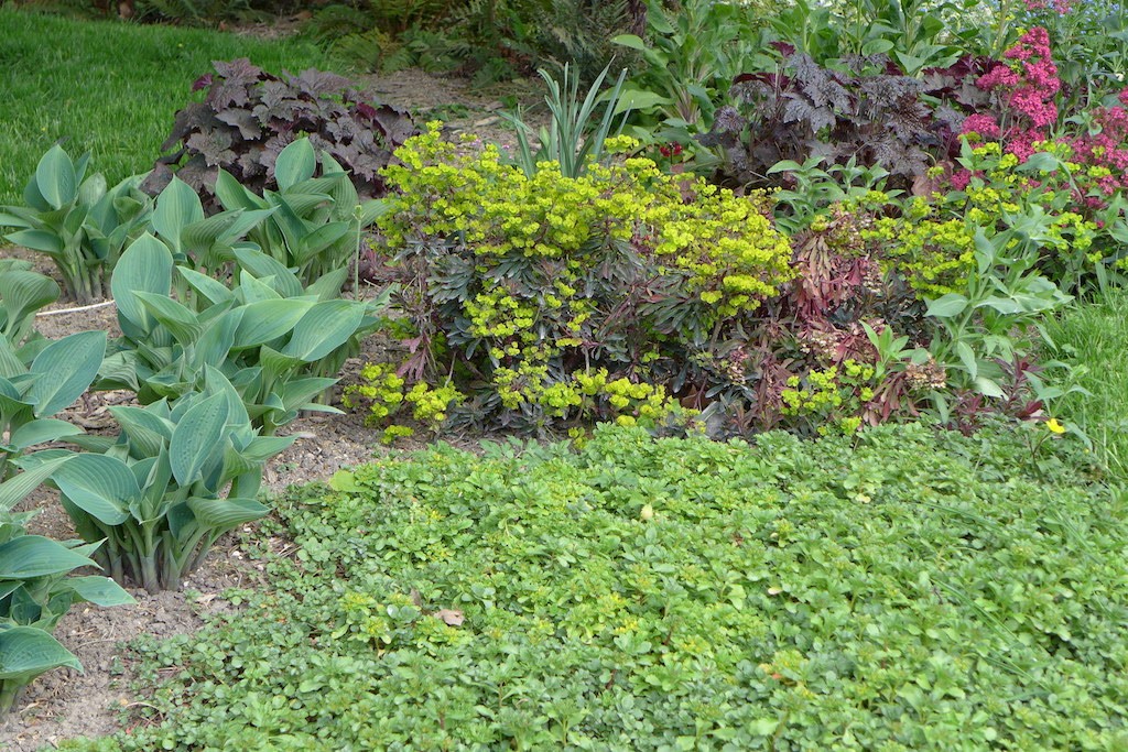 Parc Monceau Paris - Flowers