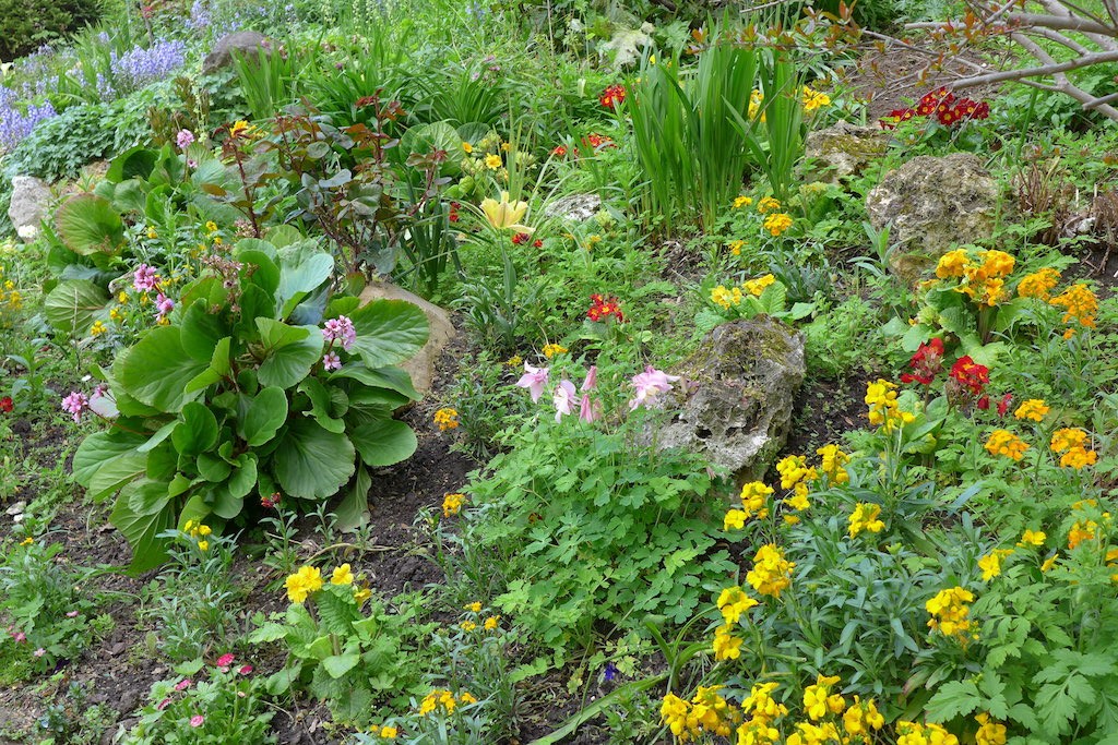 Parc Monceau Paris - Flowers